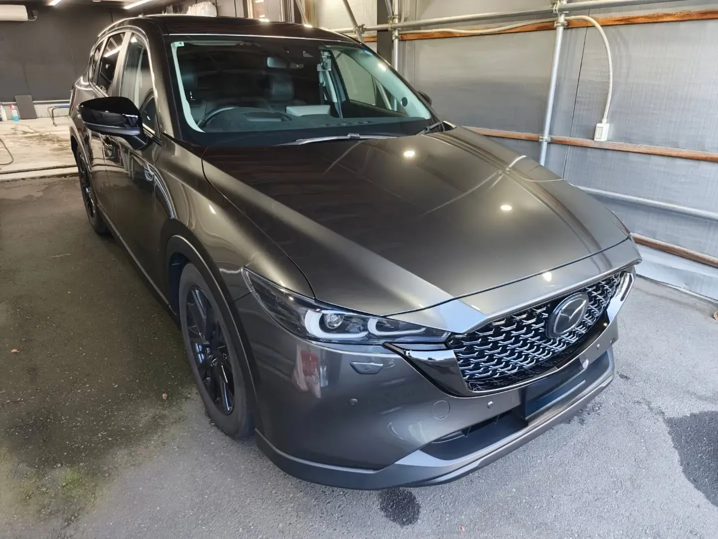 手洗い洗車🖐️🫧
